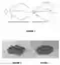 Fig. 02 - Metal adsorbent material and uses thereof