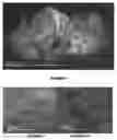 Fig. 04 - Metal adsorbent material and uses thereof