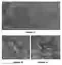 Fig. 05 - Metal adsorbent material and uses thereof