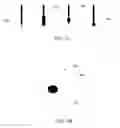 Fig. 03 - Method for preparing monolithic coated surfaces
