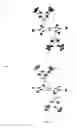 Fig. 02 - BIMETALLIC CATALYTIC COMPOUNDS AND COMPOSITIONS COMPRISING PERMETHYLPENTALENE LIGANDS