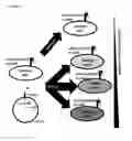 Fig. 22 - Two-part device for T-cell receptor synthesis and stable genomic integration to TCR-presenting cells