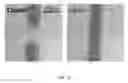 Fig. 17 - Handheld fluid handling systems and methods