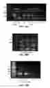 Fig. 20 - Microfluidic system incorporating light absorbing materials