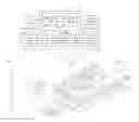 Fig. 01 - Sorting of T lymphocytes in a microfluidic device