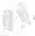 Fig. 02 - Sorting of T lymphocytes in a microfluidic device