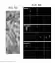 Fig. 17 - System and method for biomimetic fluid processing
