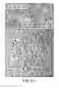 Fig. 19 - System and method for biomimetic fluid processing
