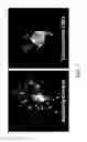 Fig. 22 - System and method for biomimetic fluid processing