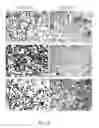 Fig. 05 - Method of plant resin separation and extraction
