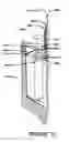 Fig. 11 - CENTRIFUGE SYSTEM FOR SEPARATING CELLS IN SUSPENSION