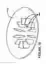 Fig. 16 - CENTRIFUGE SYSTEM FOR SEPARATING CELLS IN SUSPENSION