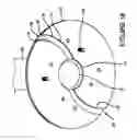 Fig. 19 - CENTRIFUGE SYSTEM FOR SEPARATING CELLS IN SUSPENSION