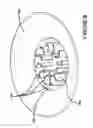Fig. 10 - Centrifuge system for separating cells in suspension