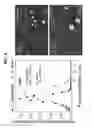 Fig. 10 - WET CYCLONE APPARATUS