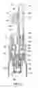 Fig. 15 - Liquid discharging vessel