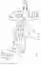 Fig. 30 - Handheld fluid sprayer