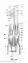 Fig. 14 - Liquid discharging vessel