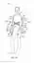 Fig. 06 - Exosuit systems with lumbar and core support