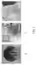 Fig. 04 - Methods and apparatus for 3d printing of highly viscous materials