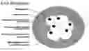 Fig. 01 - Multicellular lay-up process