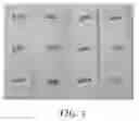 Fig. 06 - Manufacture of three dimensional objects from thermosets