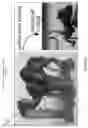 Fig. 07 - Techniques for optimizing orientation of models for three-dimensional printing