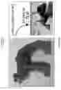 Fig. 08 - Techniques for optimizing orientation of models for three-dimensional printing