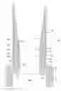 Fig. 05 - Method for manufacturing a wind turbine rotor blade root assembly