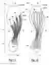 Fig. 18 - Footwear plate