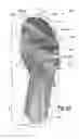 Fig. 23 - Footwear plate