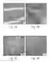 Fig. 08 - MULTILAYER STRUCTURES AND METHODS OF MAKING THE SAME