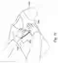 Fig. 12 - Transfer for Application to a Surface