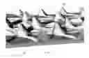 Fig. 19 - Footwear with traction elements