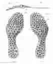 Fig. 30 - Footwear with traction elements