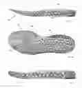 Fig. 33 - Footwear with traction elements