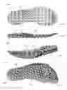Fig. 44 - Footwear with traction elements