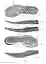 Fig. 47 - Footwear with traction elements