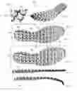 Fig. 49 - Footwear with traction elements