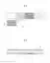 Fig. 06 - Thermal transfer printer and method for controlling the same