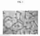 Fig. 02 - Method for manufacturing printed matter and printed matter