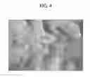 Fig. 05 - Method for manufacturing printed matter and printed matter