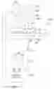 Fig. 05 - Security object having a dynamic and static window security feature and method for production