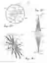 Fig. 16 - Collapsible wheels and methods of making collapsible wheels