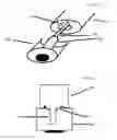 Fig. 04 - Front suspension wheel for mobile robotic devices