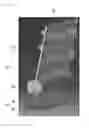 Fig. 05 - Tire with main kerfs and sub-kerfs