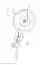 Fig. 02 - Universal wishbone trailing arm
