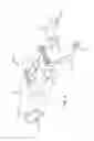 Fig. 07 - Universal wishbone trailing arm