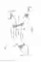 Fig. 08 - Universal wishbone trailing arm
