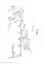 Fig. 09 - Universal wishbone trailing arm